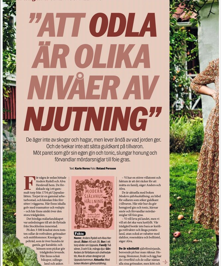 Aftonbladetträdgård1